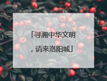 寻溯中华文明，请来洛阳城