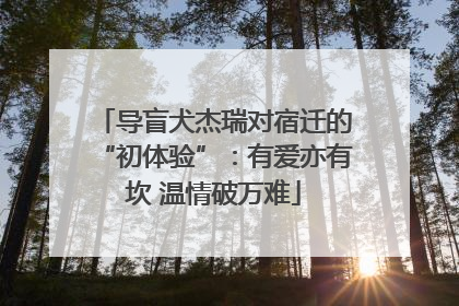 导盲犬杰瑞对宿迁的“初体验”：有爱亦有坎 温情破万难