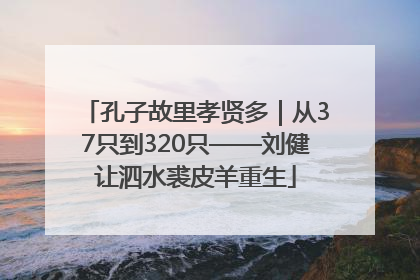 孔子故里孝贤多｜从37只到320只——刘健让泗水裘皮羊重生