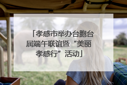 孝感市举办台胞台属端午联谊暨“美丽孝感行”活动