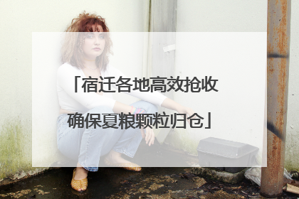 宿迁各地高效抢收 确保夏粮颗粒归仓