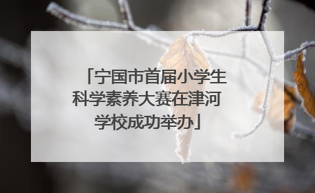 宁国市首届小学生科学素养大赛在津河学校成功举办