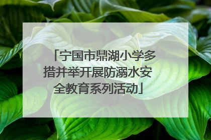 宁国市鼎湖小学多措并举开展防溺水安全教育系列活动