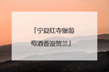 宁夏红寺堡葡萄酒香漫贺兰