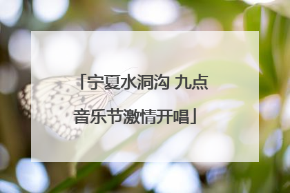 宁夏水洞沟 九点音乐节激情开唱