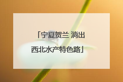宁夏贺兰 淌出西北水产特色路