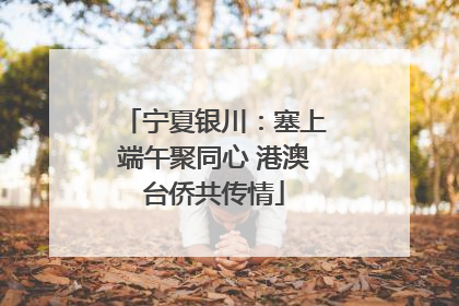 宁夏银川：塞上端午聚同心 港澳台侨共传情