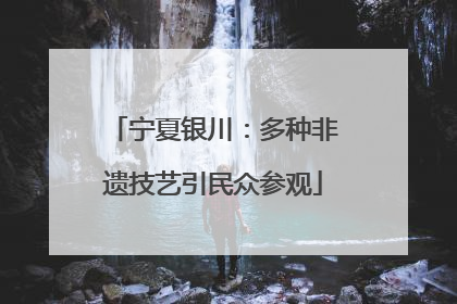宁夏银川：多种非遗技艺引民众参观