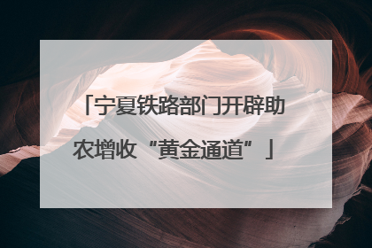 宁夏铁路部门开辟助农增收“黄金通道”