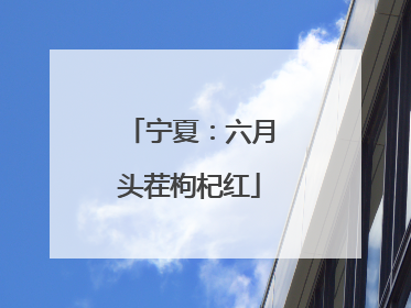 宁夏：六月头茬枸杞红