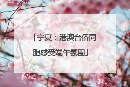 宁夏：港澳台侨同胞感受端午氛围