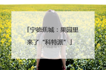 宁德蕉城：果园里来了“科特派”
