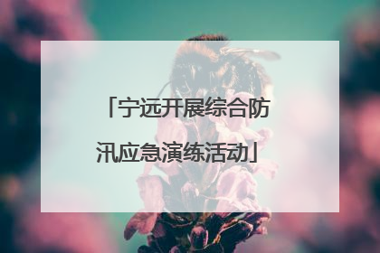 宁远开展综合防汛应急演练活动