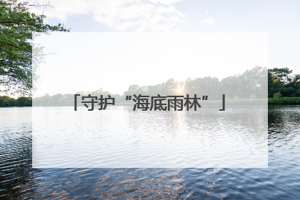 守护“海底雨林”