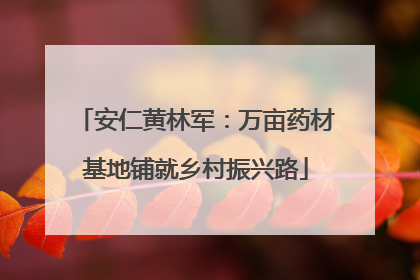 安仁黄林军：万亩药材基地铺就乡村振兴路