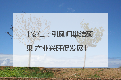 安仁：引凤归巢结硕果 产业兴旺促发展