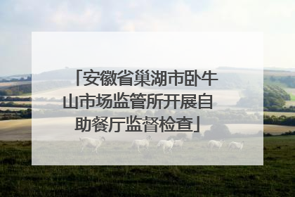 安徽省巢湖市卧牛山市场监管所开展自助餐厅监督检查