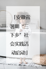 安徽省暑期“三下乡”社会实践活动启动
