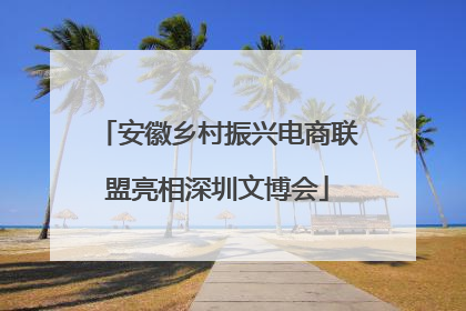 安徽乡村振兴电商联盟亮相深圳文博会