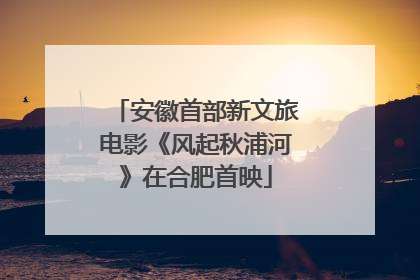 安徽首部新文旅电影《风起秋浦河》在合肥首映