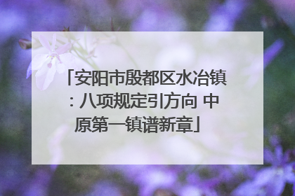 安阳市殷都区水冶镇：八项规定引方向 中原第一镇谱新章