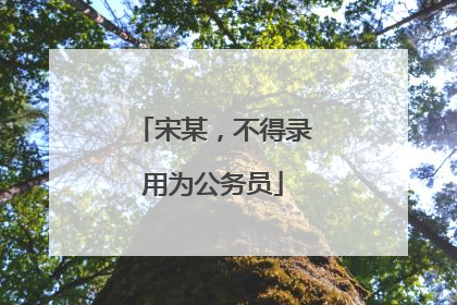 宋某，不得录用为公务员