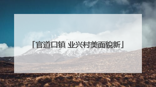 官道口镇 业兴村美面貌新