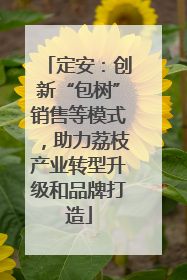 定安：创新“包树”销售等模式，助力荔枝产业转型升级和品牌打造