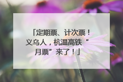 定期票、计次票！义乌人，杭温高铁“月票”来了！