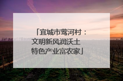 宜城市莺河村：文明新风润沃土 特色产业富农家