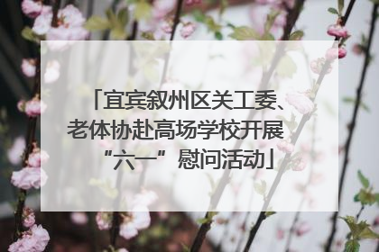 宜宾叙州区关工委、老体协赴高场学校开展“六一”慰问活动