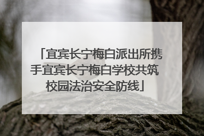 宜宾长宁梅白派出所携手宜宾长宁梅白学校共筑校园法治安全防线