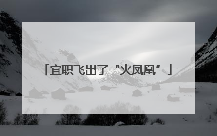 宜职飞出了“火凤凰”