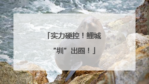 实力硬控！鲤城“圳”出圈！