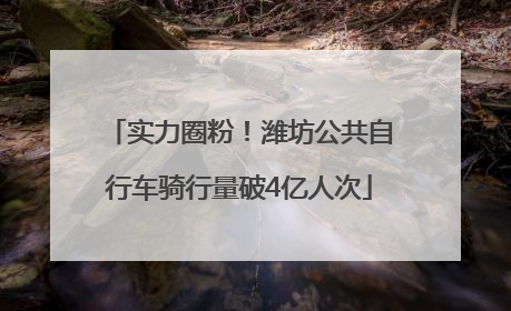 实力圈粉！潍坊公共自行车骑行量破4亿人次