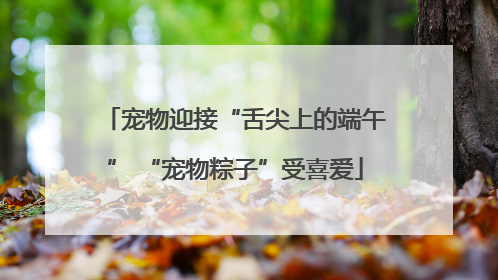 宠物迎接“舌尖上的端午” “宠物粽子”受喜爱