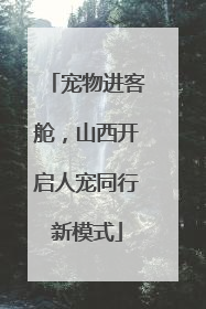 宠物进客舱，山西开启人宠同行新模式