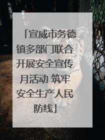 宣威市务德镇多部门联合开展安全宣传月活动 筑牢安全生产人民防线