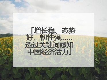 增长稳、态势好、韧性强……透过关键词感知中国经济活力
