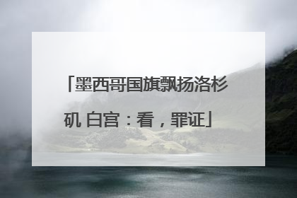 墨西哥国旗飘扬洛杉矶 白宫：看，罪证