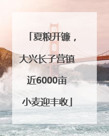 夏粮开镰，大兴长子营镇近6000亩小麦迎丰收