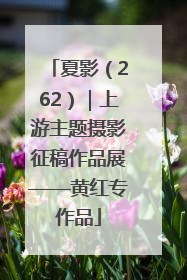 夏影（262）｜上游主题摄影征稿作品展——黄红专作品