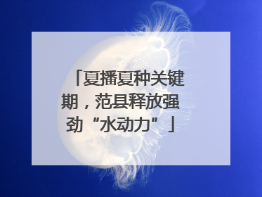 夏播夏种关键期，范县释放强劲“水动力”
