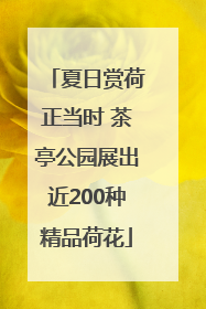 夏日赏荷正当时 茶亭公园展出近200种精品荷花