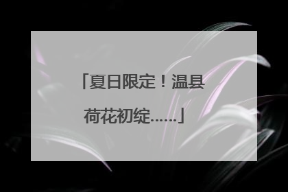 夏日限定！温县荷花初绽……
