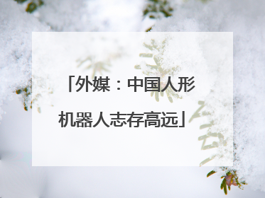 外媒：中国人形机器人志存高远