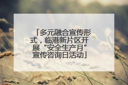 多元融合宣传形式，临港新片区开展“安全生产月”宣传咨询日活动