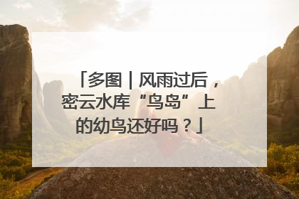 多图｜风雨过后，密云水库“鸟岛”上的幼鸟还好吗？