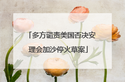 多方谴责美国否决安理会加沙停火草案