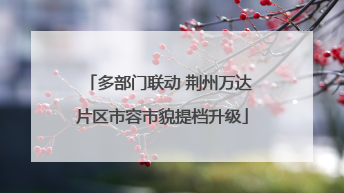 多部门联动 荆州万达片区市容市貌提档升级
